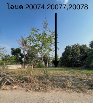 รูปที่ดินว่างเปล่า เมืองพลับพลา ห้วยแถลง นครราชสีมา