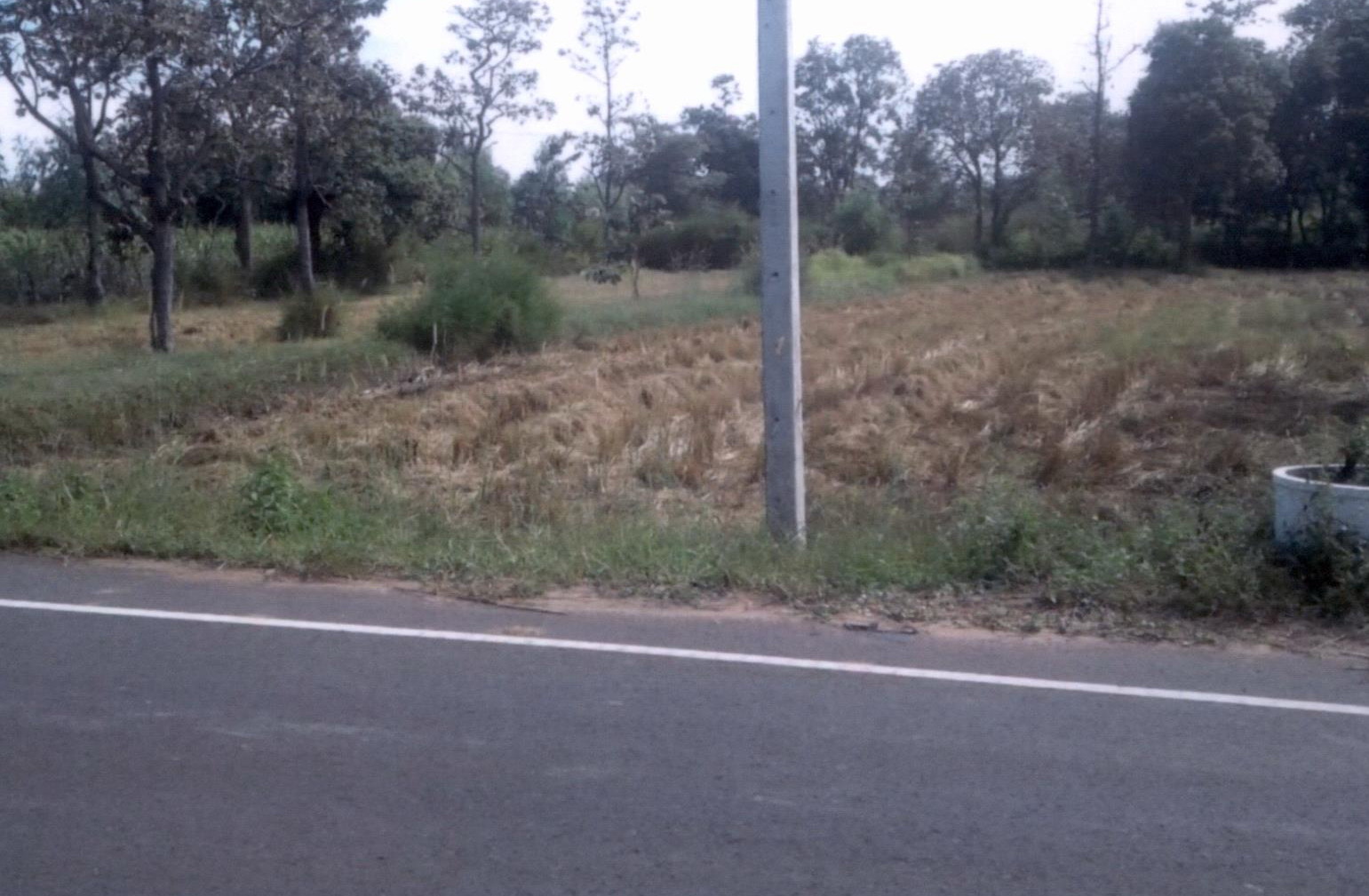 รูปที่ดินว่างเปล่า ดงบัง อำเภอลืออำนาจ อำนาจเจริญ