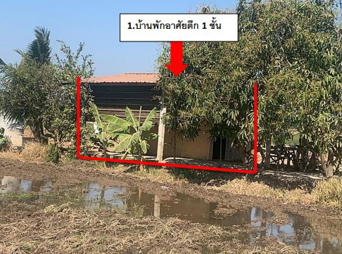 รูปที่ดินพร้อมสิ่งปลูกสร้าง ห้วยชัน(สวนหลวง) อินทร์บุรี สิงห์บุรี