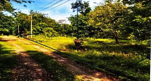 รูปที่ดินว่างเปล่า เมืองเดช เดชอุดม อุบลราชธานี