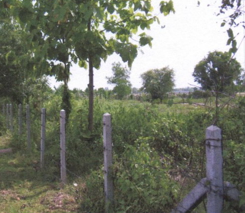 รูปที่ดินว่างเปล่า หนองนาคำ เมือง อุดรธานี