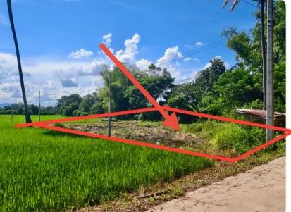 รูปที่ดินว่างเปล่า ทุ่งโพ หนองฉาง อุทัยธานี