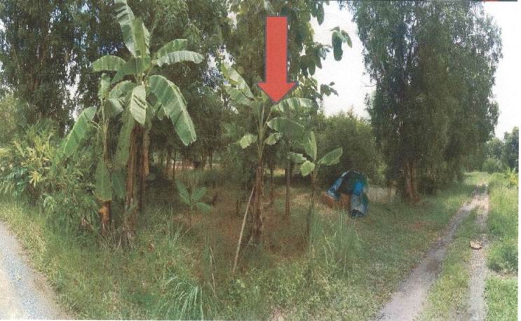 รูปที่ดินว่างเปล่า พรหมณี เมืองนครนายก นครนายก