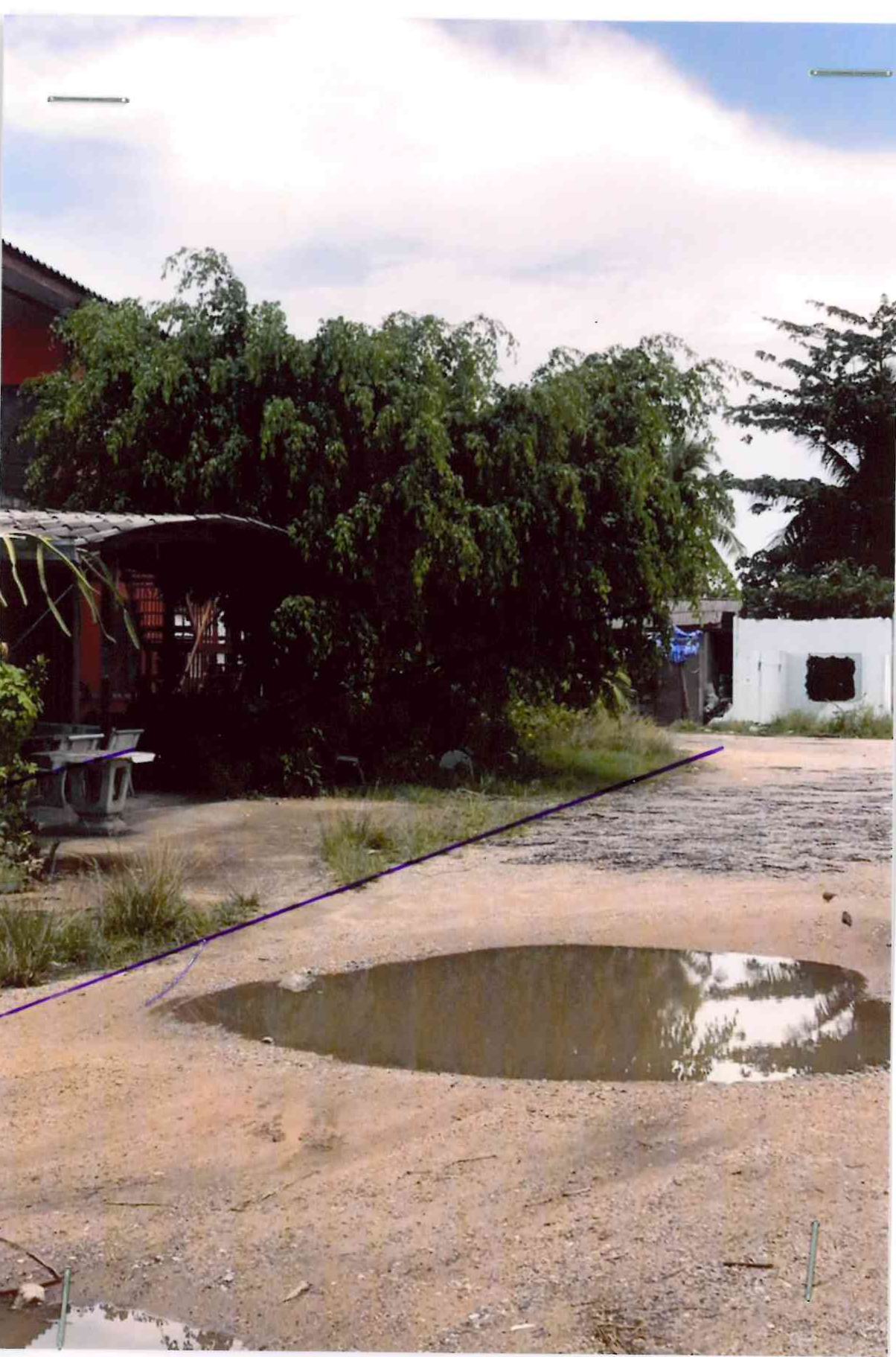 รูปที่ดินว่างเปล่า ตะเคียนเตี้ย บางละมุง ชลบุรี