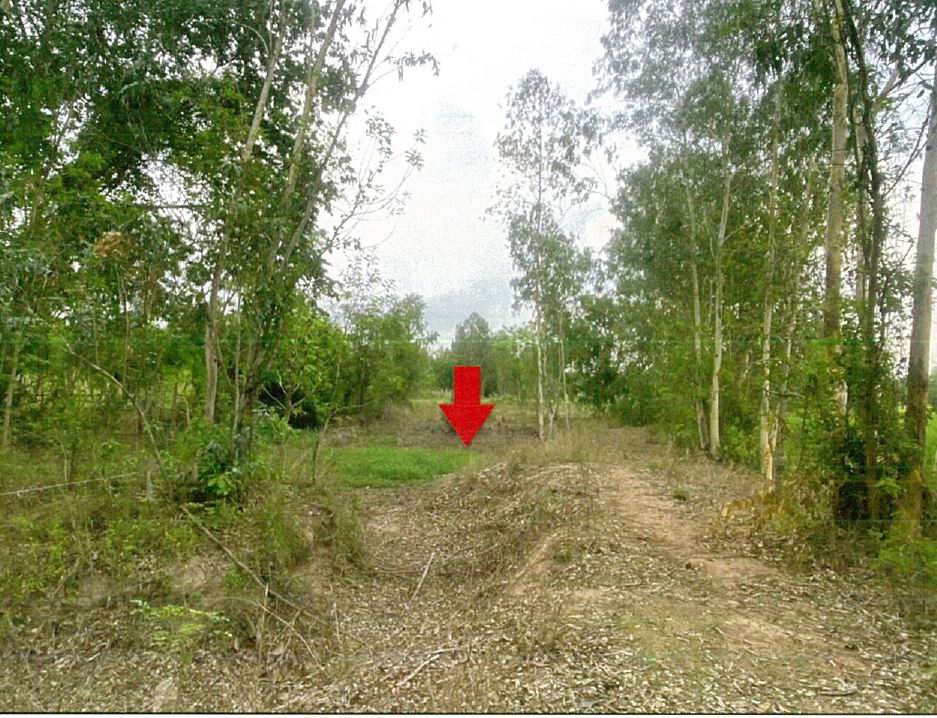 รูปที่ดินว่างเปล่า น้ำซึม เมืองอุทัยธานี อุทัยธานี