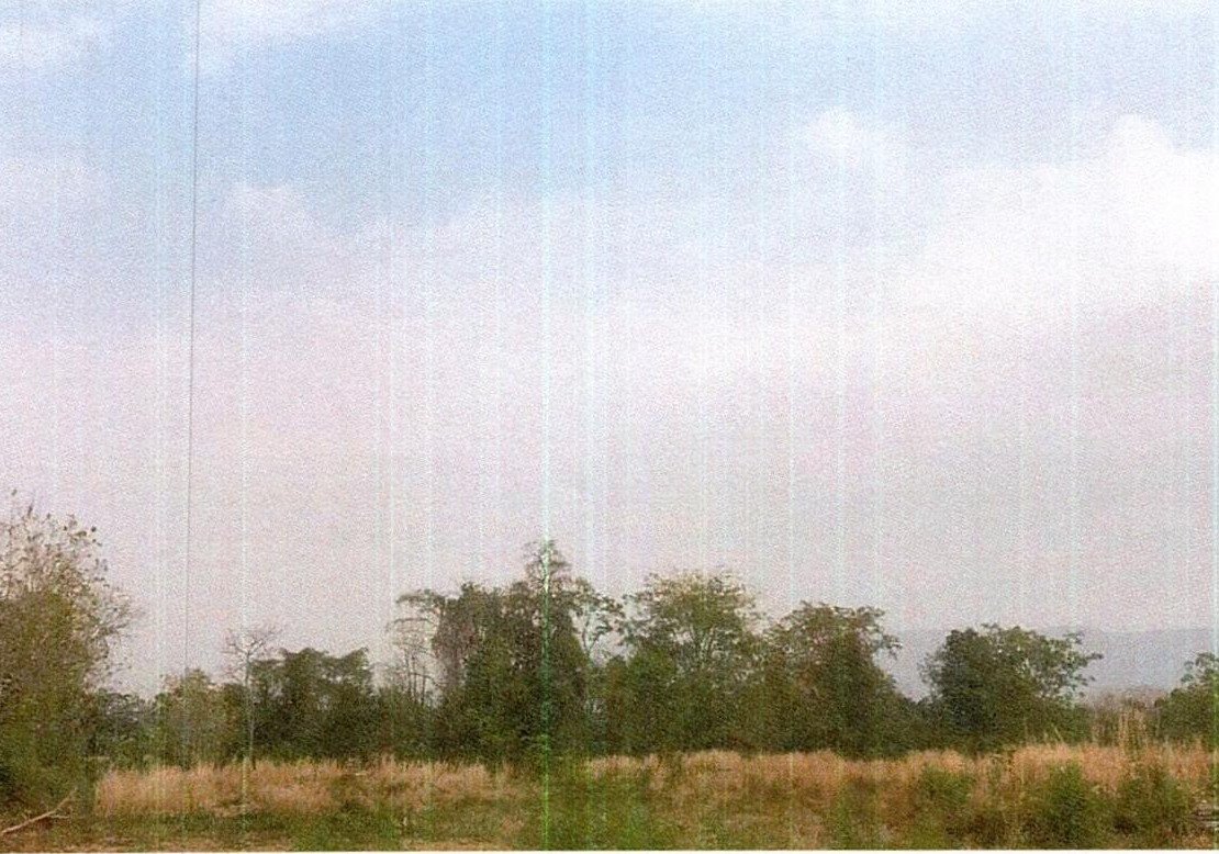 รูปที่ดินว่างเปล่า หนองไผ่ ชุมแพ ขอนแก่น