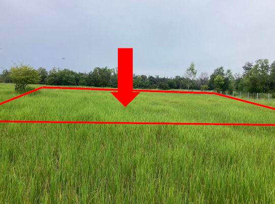 รูปที่ดินว่างเปล่า หนองขอน เมืองอุบลราชธานี อุบลราชธานี