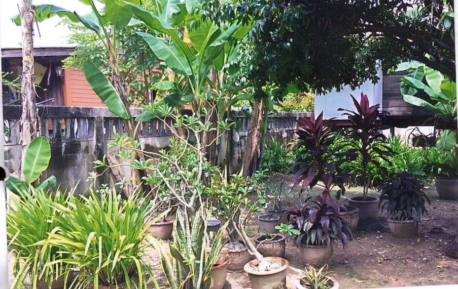 รูปที่ดินพร้อมสิ่งปลูกสร้าง ป่าขะ บ้านนา นครนายก