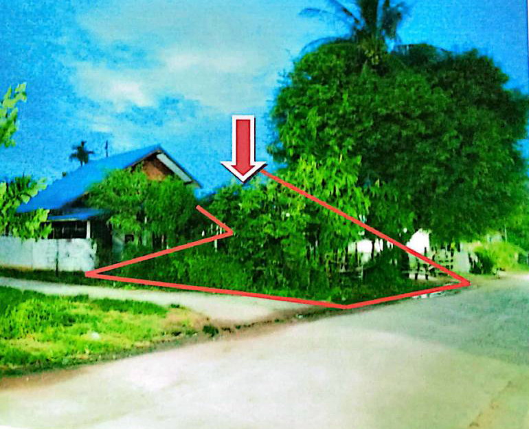 รูปที่ดินพร้อมสิ่งปลูกสร้าง บ้านเต่า บ้านแท่น ชัยภูมิ