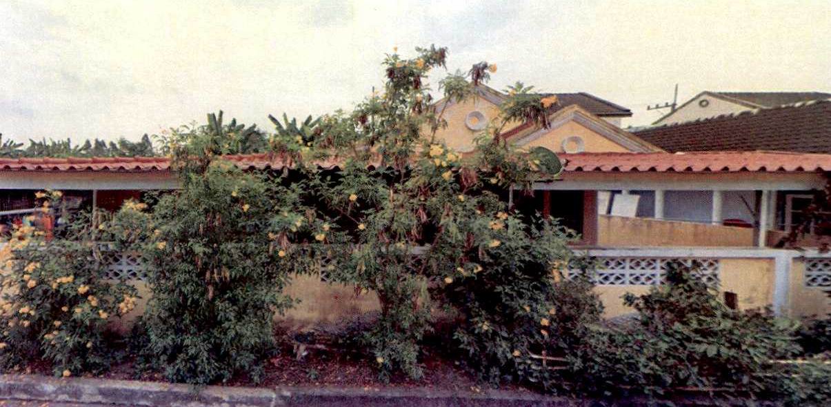รูปที่ดินพร้อมสิ่งปลูกสร้าง ชะแมบ วังน้อย พระนครศรีอยุธยา