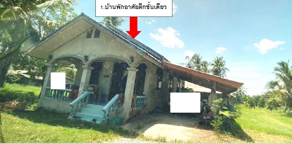 รูปที่ดินพร้อมสิ่งปลูกสร้าง ปากแพรก ปากพนัง นครศรีธรรมราช