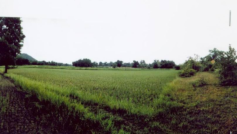 รูปที่ดินว่างเปล่า ตลุกกลางทุ่ง เมืองตาก ตาก