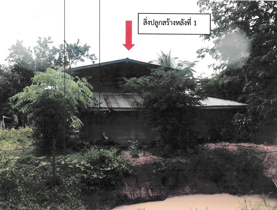 รูปที่ดินพร้อมสิ่งปลูกสร้าง วังตะเคียน หนองมะโมง ชัยนาท