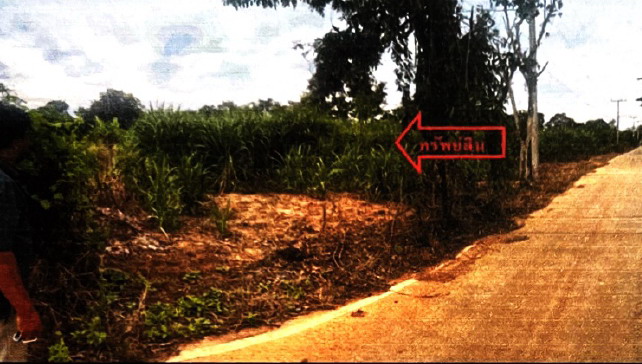 รูปที่ดินว่างเปล่า (ครบุรี) ครบุรีใต้ ครบุรี นครราชสีมา