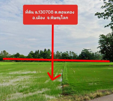 รูปที่ดินว่างเปล่า ดอนทอง เมืองพิษณุโลก พิษณุโลก