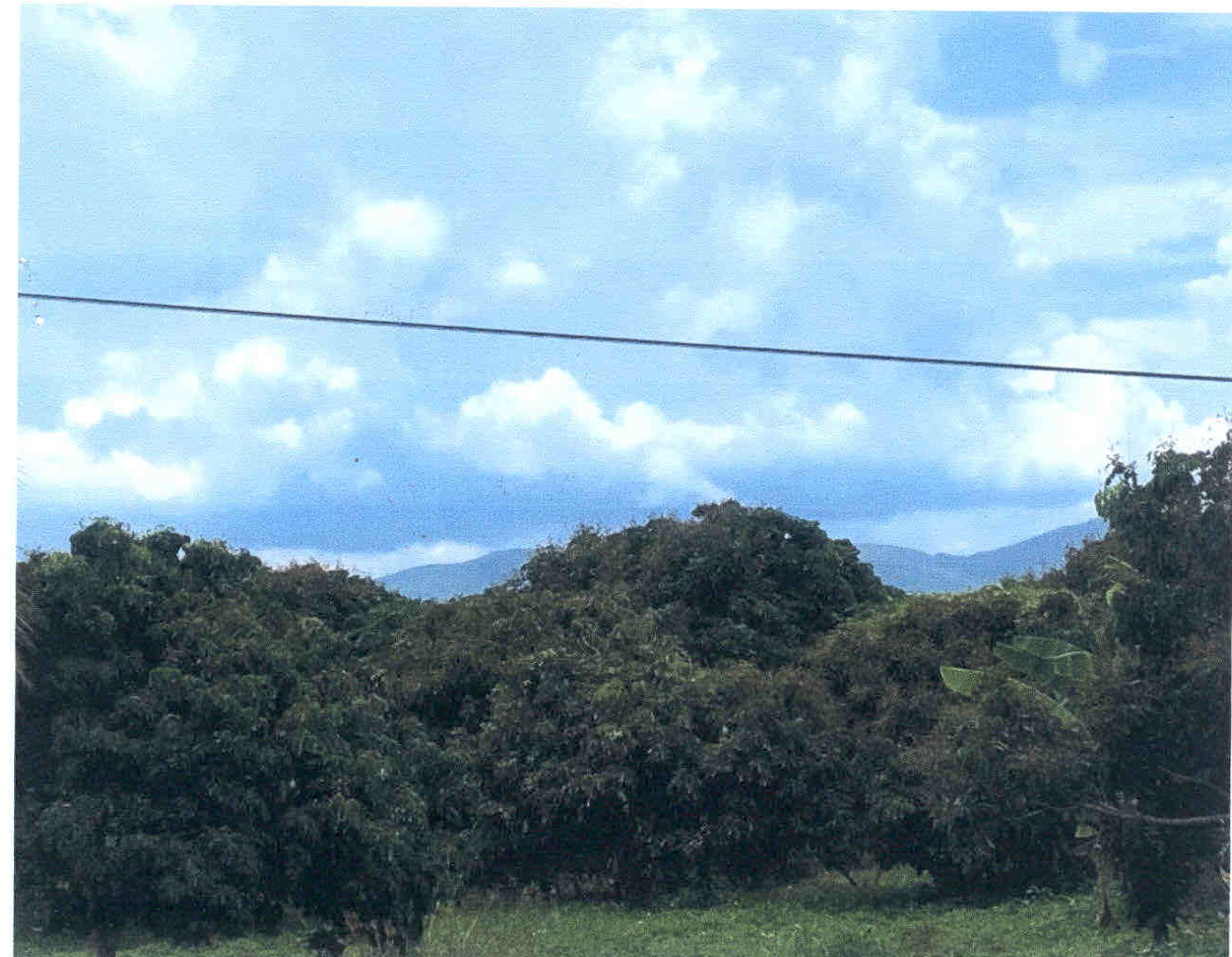 รูปที่ดินว่างเปล่า นครเจดีย์ ป่าซาง ลำพูน