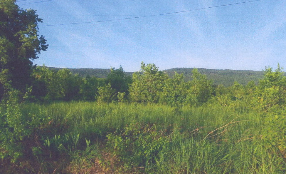 รูปที่ดินว่างเปล่า หนองบัว เมืองหนองบัวลำภู หนองบัวลำภู