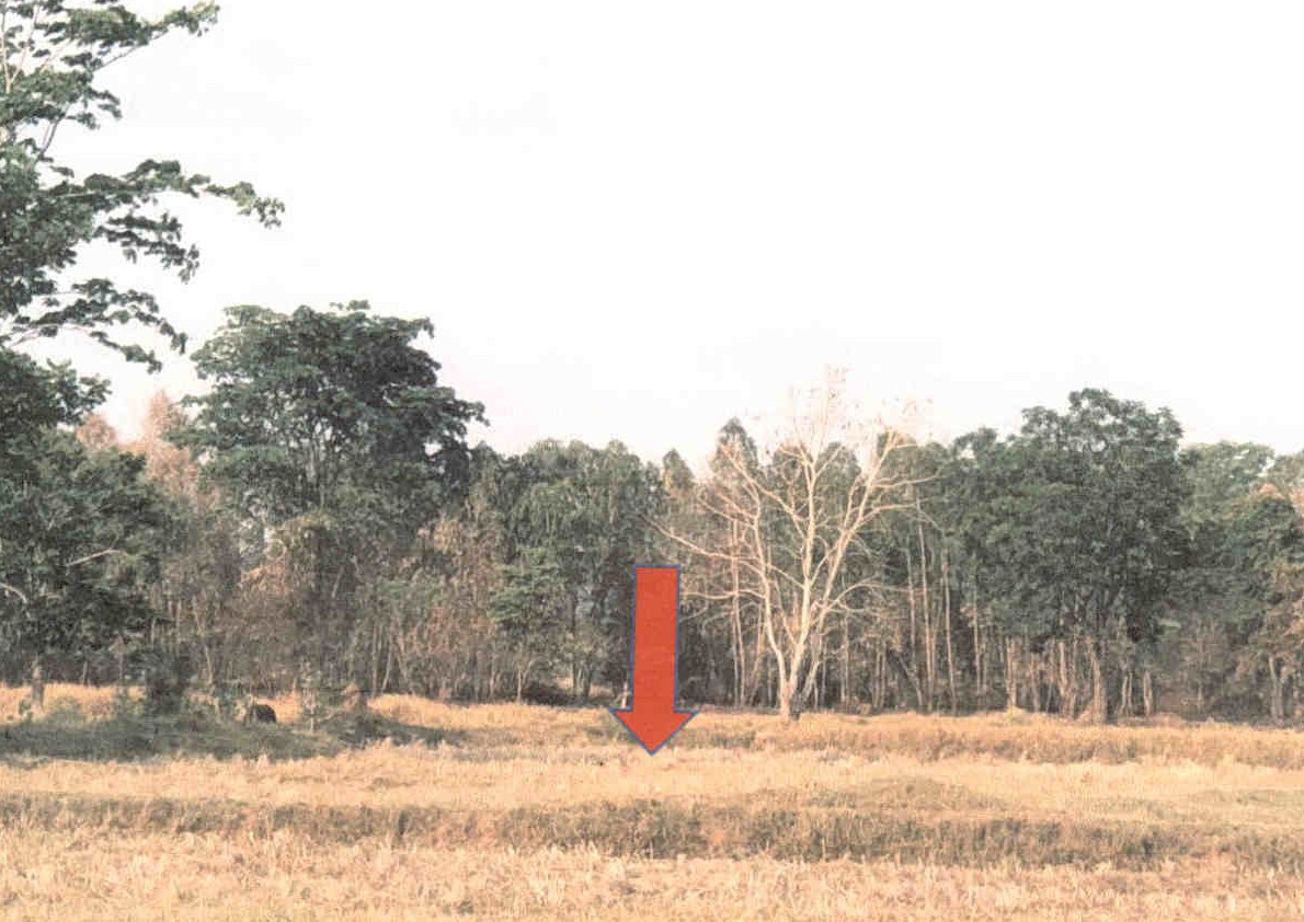 รูปที่ดินว่างเปล่า เทพาลัย คง นครราชสีมา