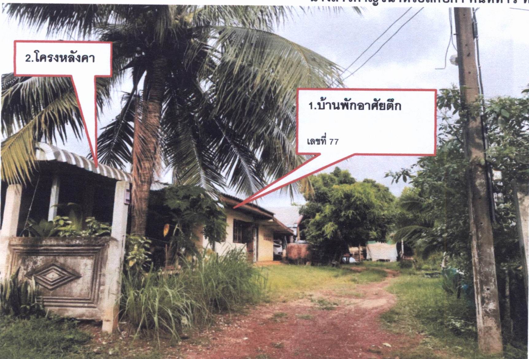 รูปที่ดินพร้อมสิ่งปลูกสร้าง ยอดชาด วังยาง นครพนม