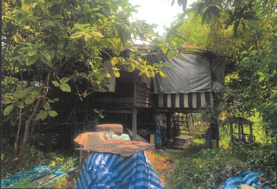 รูปที่ดินพร้อมสิ่งปลูกสร้าง บ้านใหญ่ (ใหญ่ลาว) เมืองนครนายก นครนายก