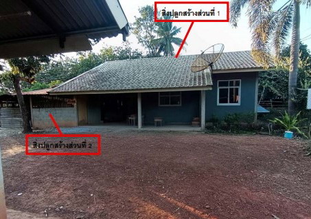 รูปที่ดินพร้อมสิ่งปลูกสร้าง นาแสง ศรีวิไล บึงกาฬ
