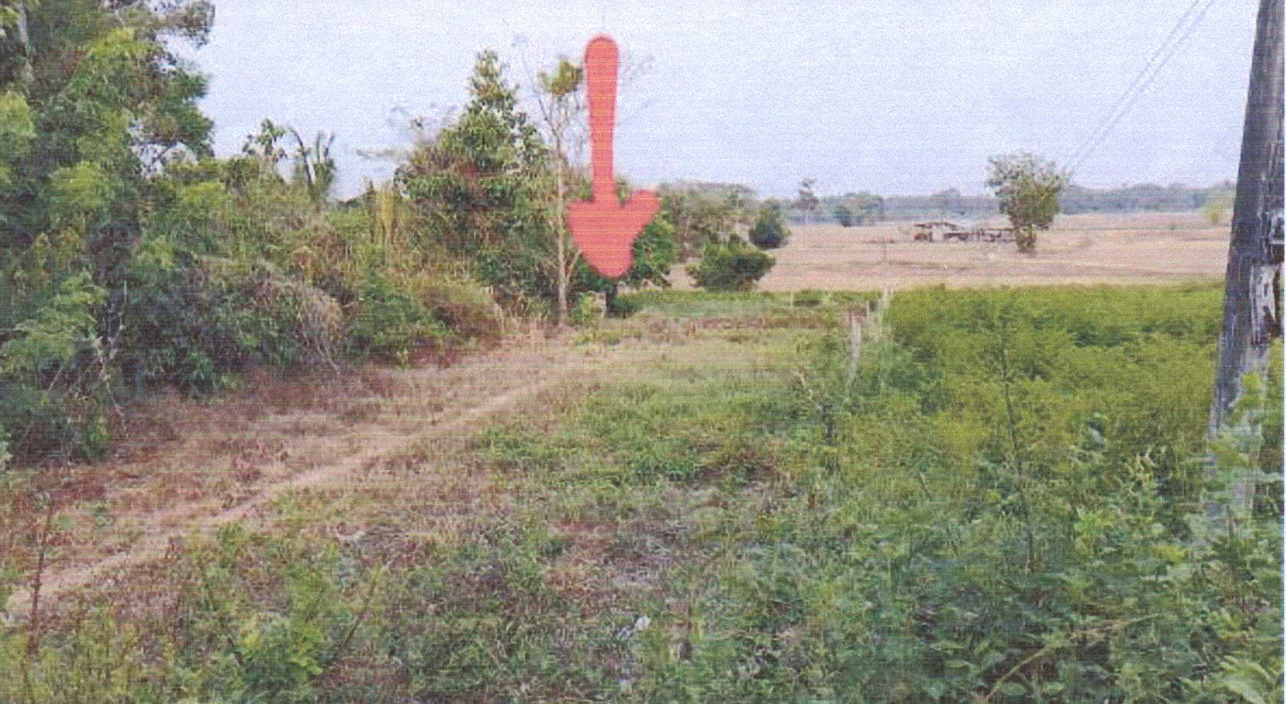 รูปที่ดินว่างเปล่า กุดเมืองฮาม ยางชุมน้อย ศรีสะเกษ