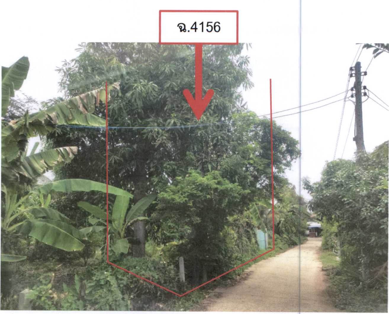 รูปที่ดินว่างเปล่า ตาจง ละหานทราย บุรีรัมย์