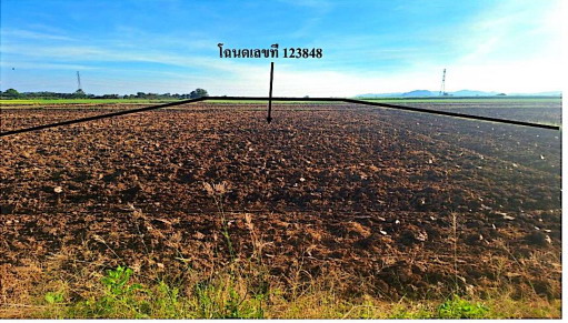 รูปที่ดินว่างเปล่า ห้วยสะแก เมืองเพชรบูรณ์ เพชรบูรณ์