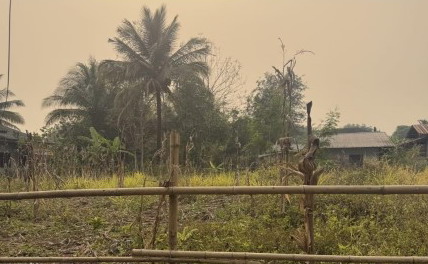 รูปที่ดินว่างเปล่า ศรีค้ำ แม่จัน เชียงราย