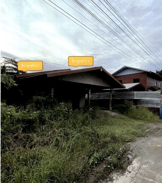 รูปที่ดินพร้อมสิ่งปลูกสร้าง โคกสะอาด ศรีเทพ เพชรบูรณ์