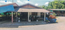 รูปที่ดินพร้อมสิ่งปลูกสร้าง บุญเรือง เชียงของ เชียงราย