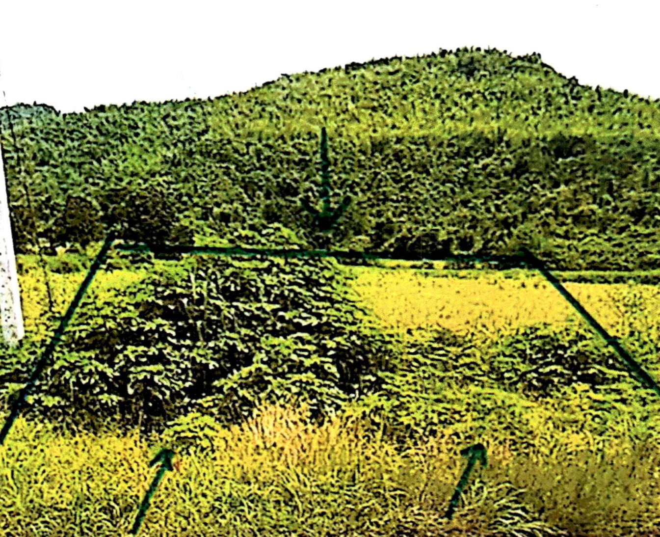 รูปที่ดินว่างเปล่า วังเพลิง โคกสำโรง ลพบุรี