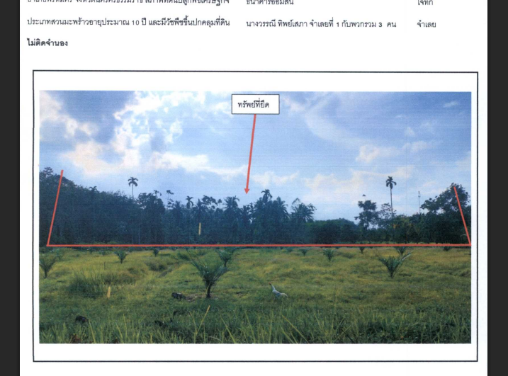 รูปที่ดินว่างเปล่า นาเรียง พรหมคีรี นครศรีธรรมราช