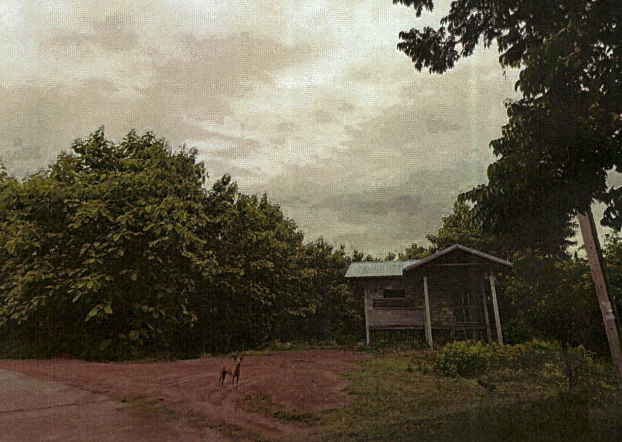 รูปที่ดินพร้อมสิ่งปลูกสร้าง บ้านฝาย น้ำปาด อุตรดิตถ์