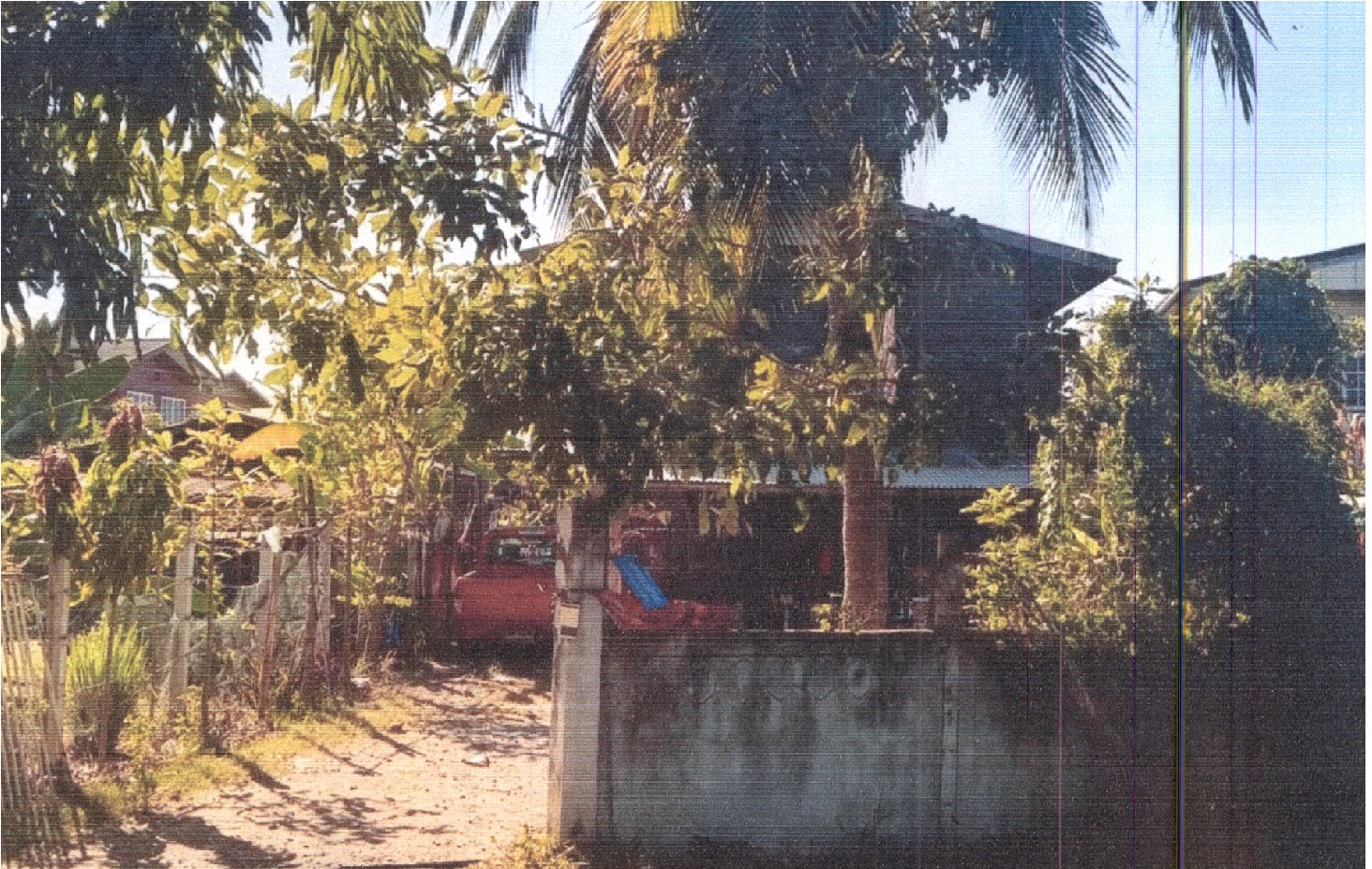 รูปที่ดินพร้อมสิ่งปลูกสร้าง ดงใหญ่ พิมาย นครราชสีมา