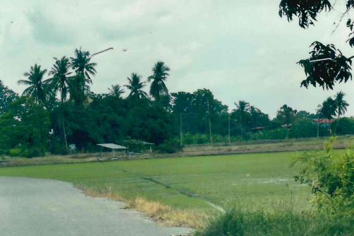 รูปที่ดินว่างเปล่า เชิงกลัด บางระจัน สิงห์บุรี