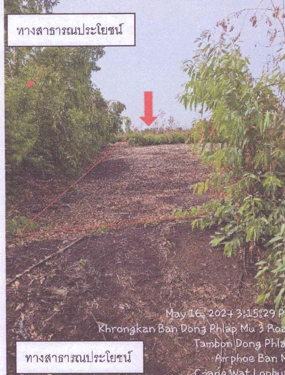 รูปที่ดินว่างเปล่า ดงพลับ บ้านหมี่ ลพบุรี