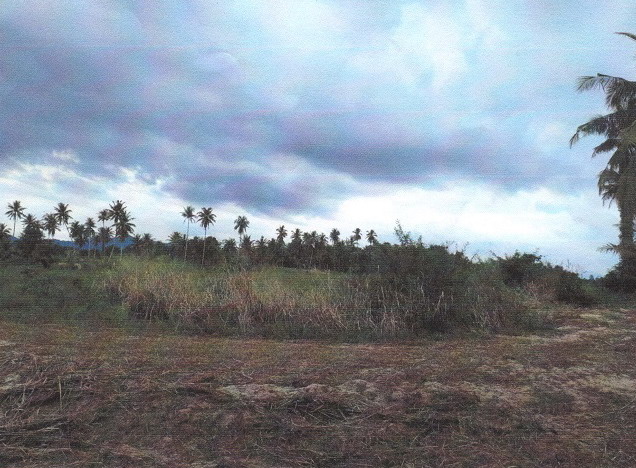 รูปที่ดินว่างเปล่า ธงชัย บางสะพาน ประจวบคีรีขันธ์