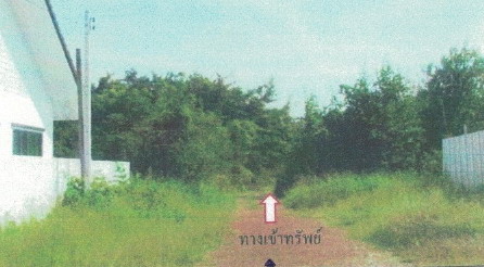รูปที่ดินว่างเปล่า บางคล้า บางคล้า ฉะเชิงเทรา