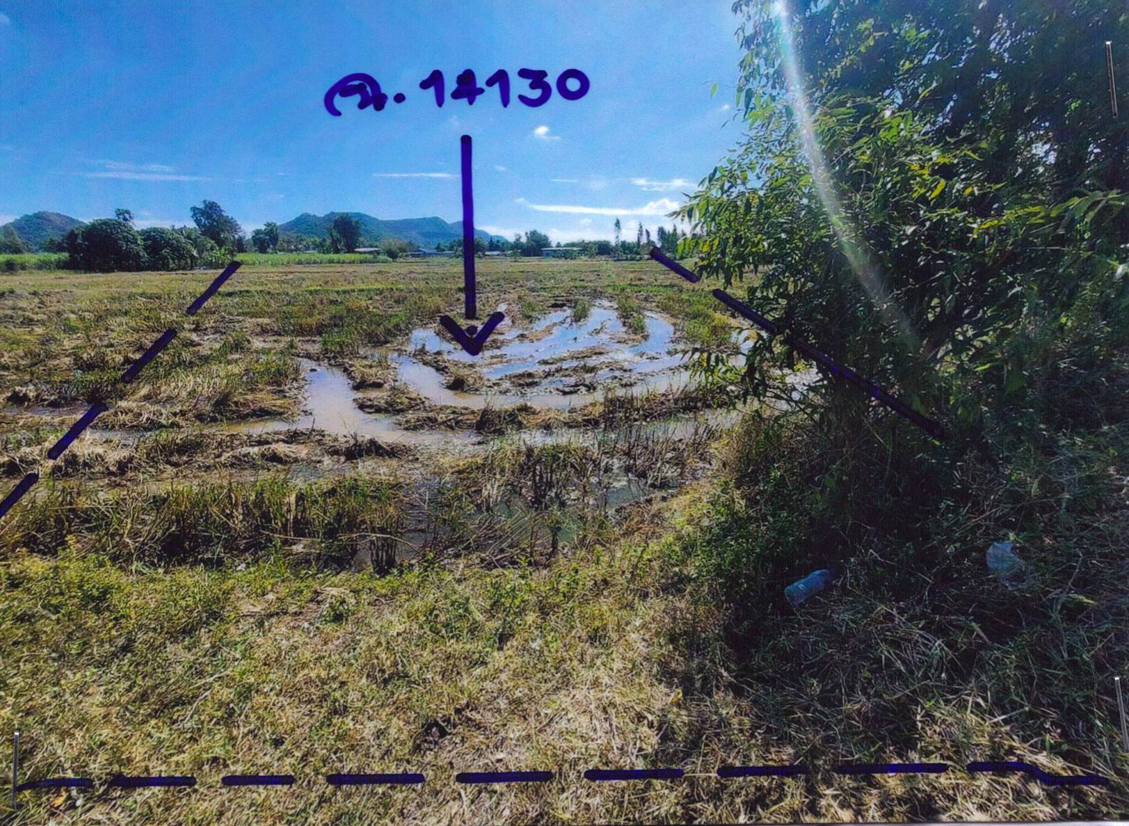 รูปที่ดินว่างเปล่า หนองประดู่ เลาขวัญ กาญจนบุรี
