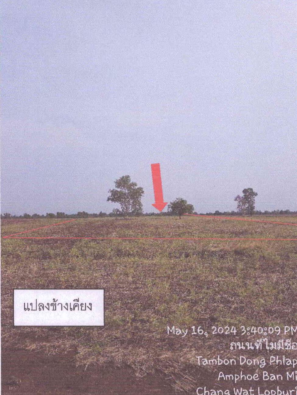 รูปที่ดินว่างเปล่า ดงพลับ บ้านหมี่ ลพบุรี