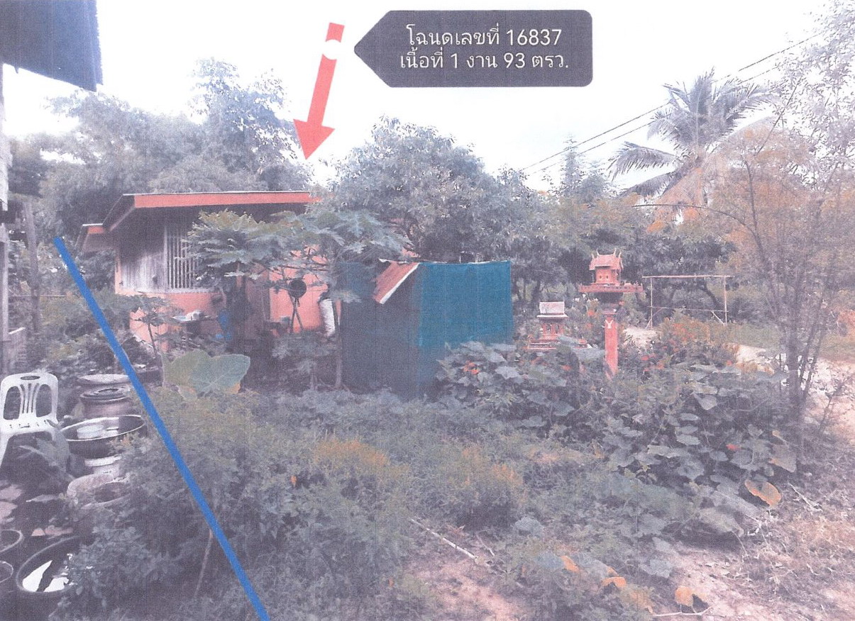 รูปที่ดินพร้อมสิ่งปลูกสร้าง ดินทอง วังทอง พิษณุโลก