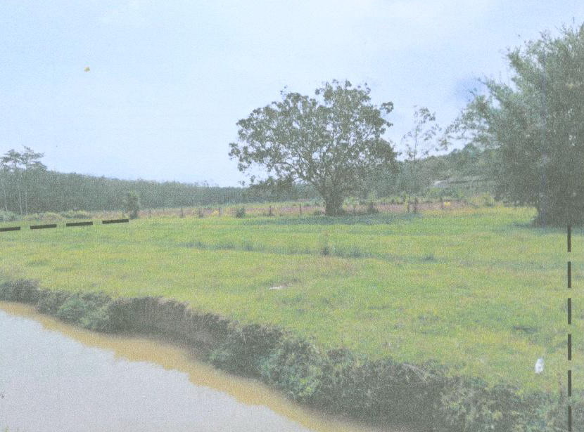 รูปที่ดินว่างเปล่า ท่าขึ้น ท่าศาลา นครศรีธรรมราช