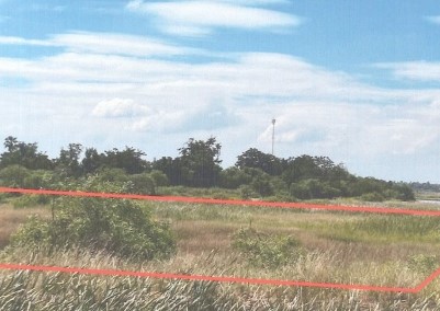 รูปที่ดินว่างเปล่า หนองสรวง ขามทะเลสอ นครราชสีมา