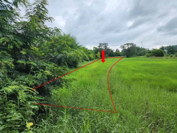 รูปที่ดินว่างเปล่า เขื่องใน เขื่องใน อุบลราชธานี