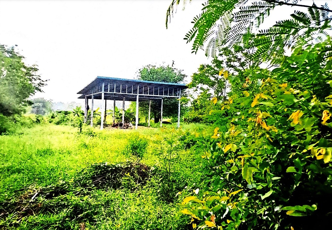 รูปที่ดินพร้อมสิ่งปลูกสร้าง เมืองปัก ปักธงชัย นครราชสีมา