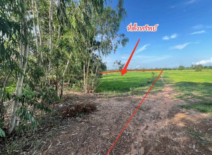 รูปที่ดินว่างเปล่า โคกสว่าง พนมไพร ร้อยเอ็ด