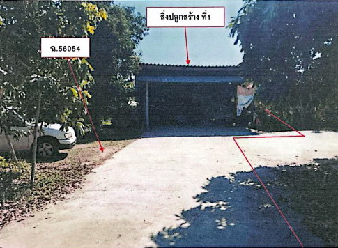 รูปที่ดินพร้อมสิ่งปลูกสร้าง ดอยงาม พาน เชียงราย
