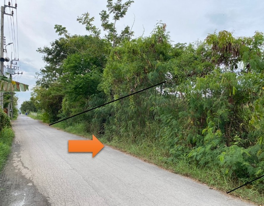 รูปที่ดินว่างเปล่า กระทุ่มราย หนองจอก กรุงเทพมหานคร