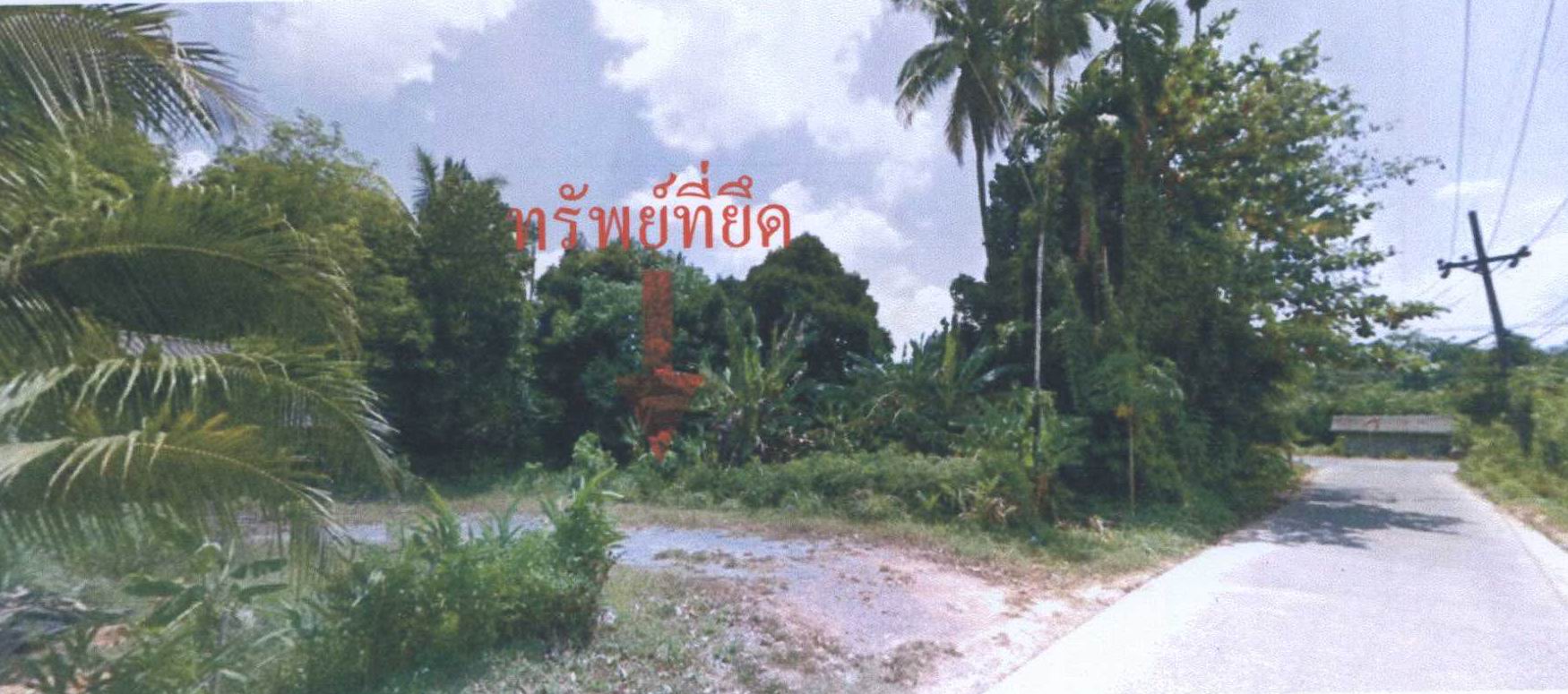 รูปที่ดินว่างเปล่า นาหลวงเสน ทุ่งสง นครศรีธรรมราช